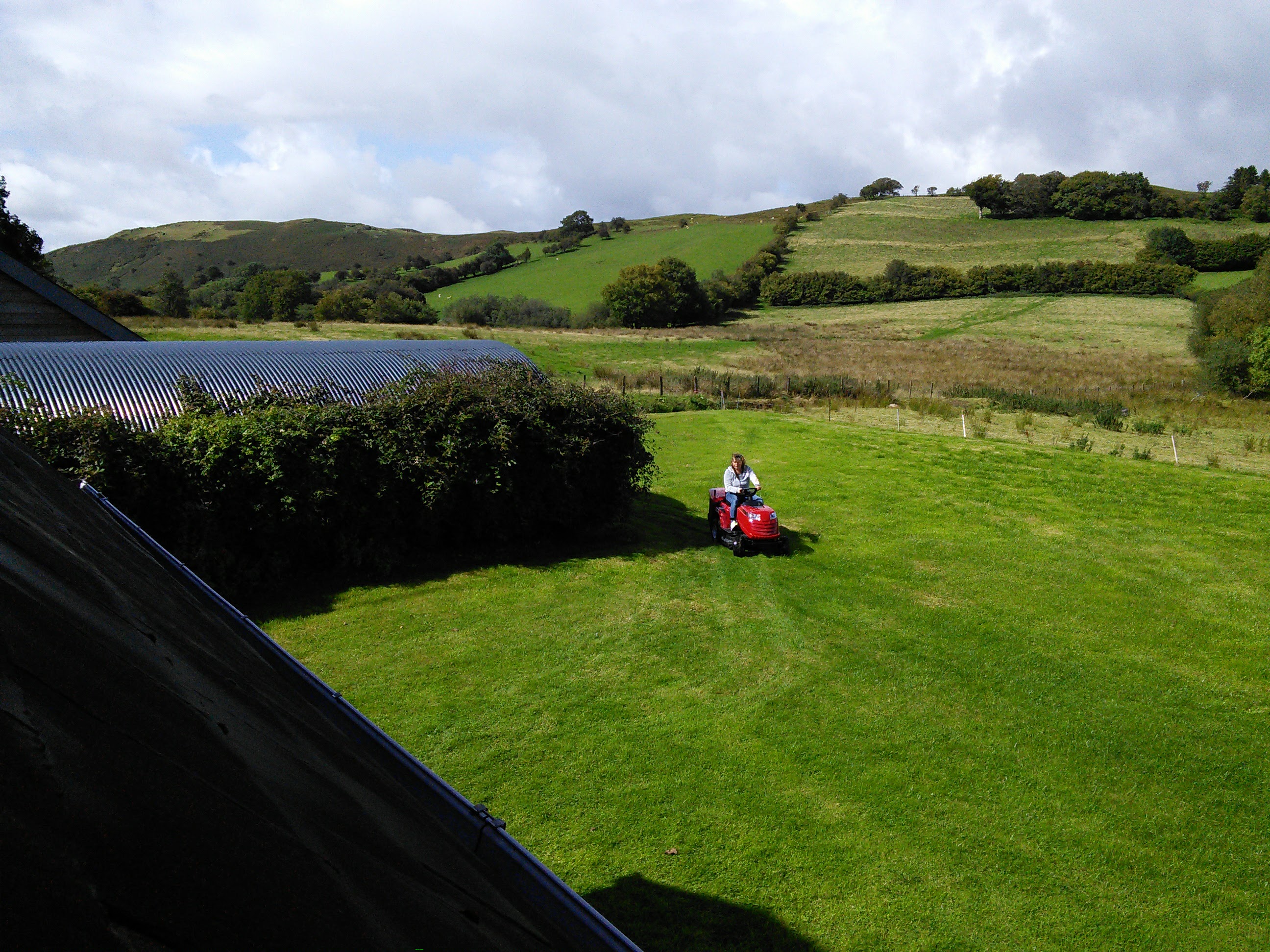 Jo mowing the grass in our back garden