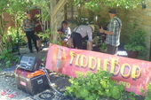 FiddleBop at an Open Gardens gig, July 2013