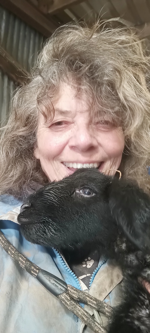 Jo and a new-born lamb