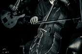 FiddleBop at the Old Street Tavern, Ludlow, 3 April 2026