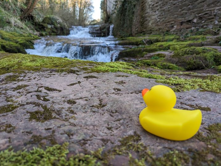 A rubber duck at Talgarth Festival of the Black Mountains